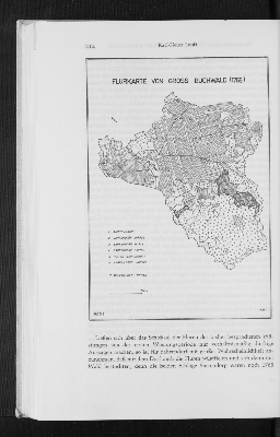 Vorschaubild von Abb. 1: Flurkarte von Gross Buchwald (1765)