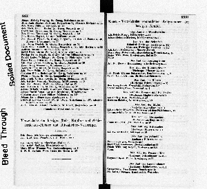 Vorschaubild Seite XXX-XXXI