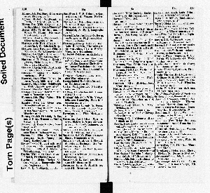 Vorschaubild Seite 110-111