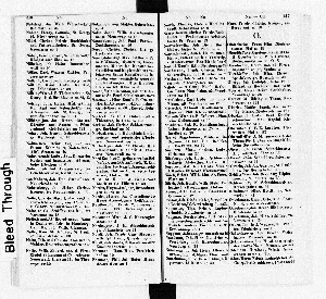 Vorschaubild Seite 216-217