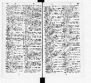 Vorschaubild Seite 300-301