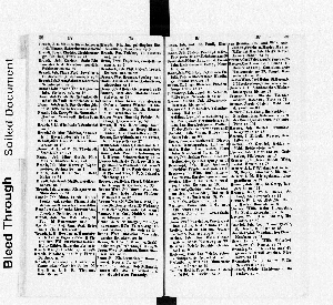 Vorschaubild Seite 38-39