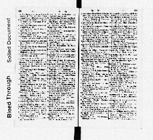 Vorschaubild Seite 230-231