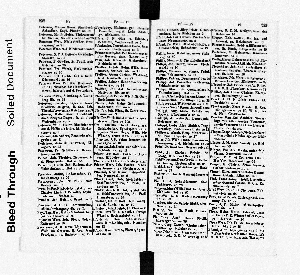 Vorschaubild Seite 238-239