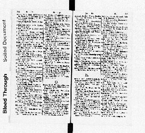 Vorschaubild Seite 244-245