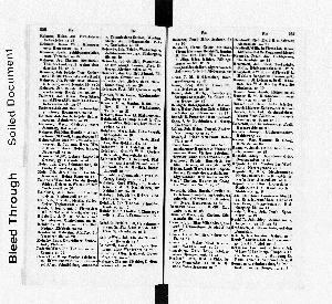 Vorschaubild Seite 250-251