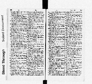 Vorschaubild Seite 260-261