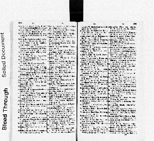 Vorschaubild Seite 288-289