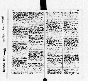 Vorschaubild Seite 290-291