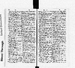 Vorschaubild Seite 294-295