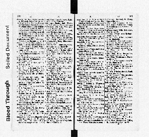 Vorschaubild Seite 306-307
