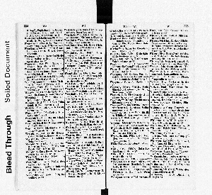 Vorschaubild Seite 334-335