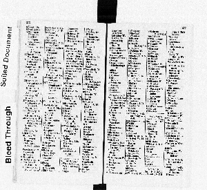 Vorschaubild Seite 376-377