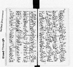 Vorschaubild Seite 386-387