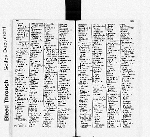 Vorschaubild Seite 392-393