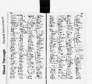 Vorschaubild Seite 394-395