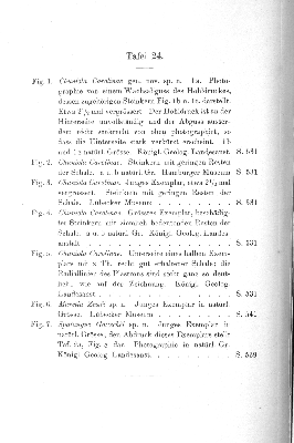 Vorschaubild von [[Jahrbuch der Königlich Preußischen Geologischen Landesanstalt und Bergakademie zu Berlin]]