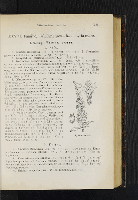 Vorschaubild Seite 253