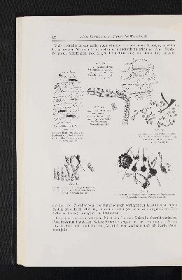 Vorschaubild Seite 126