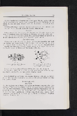 Vorschaubild Seite 169