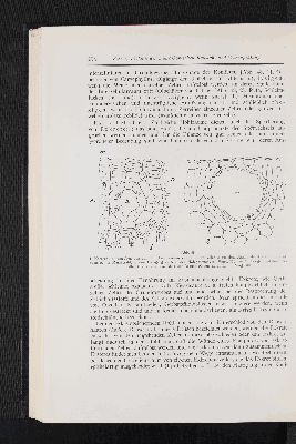 Vorschaubild Seite 254