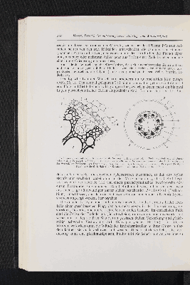 Vorschaubild Seite 264