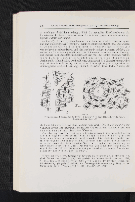 Vorschaubild Seite 280