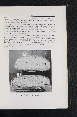 Vorschaubild Seite 519