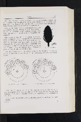 Vorschaubild Seite 337