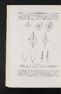 Vorschaubild Seite 194