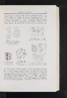 Vorschaubild Seite 191