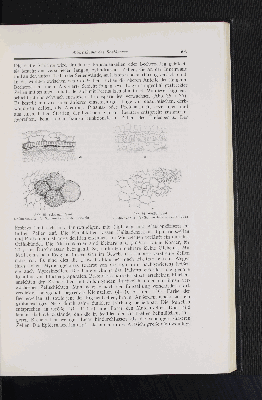 Vorschaubild Seite 509