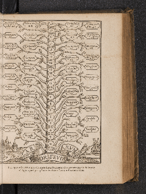 Vorschaubild von Hae figura inseri debet initio Consuetudinum Feudorum ad columnam 795 ubi descriptus est typus, quae figura ipsorum Feudorum seriem melius demonstrat.