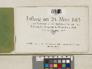 Vorschaubild von Festzug am 24. März 1913