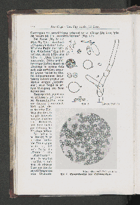 Vorschaubild Seite 116