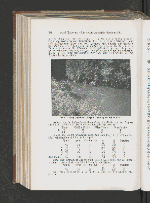 Vorschaubild Seite 390