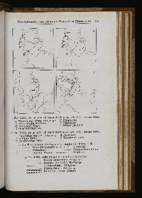 Vorschaubild Seite 303