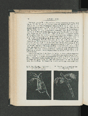 Vorschaubild Seite 196