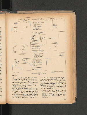 Vorschaubild Seite 259