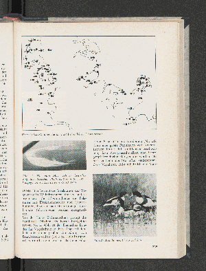 Vorschaubild von Übersichtskarte über die im Text behandelten Küstenareale.