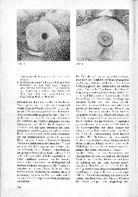 Vorschaubild Seite 387