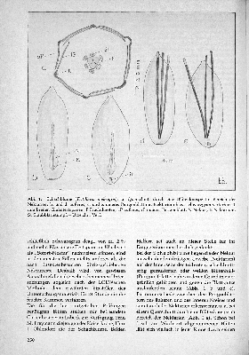 Vorschaubild Seite 250