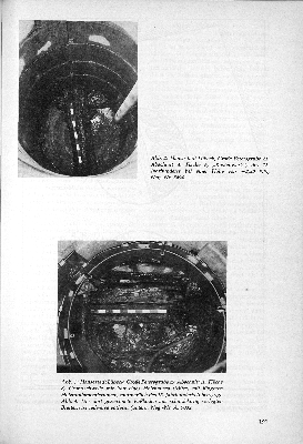 Vorschaubild Seite 191