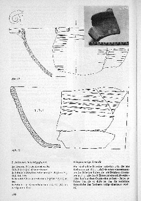 Vorschaubild Seite 196