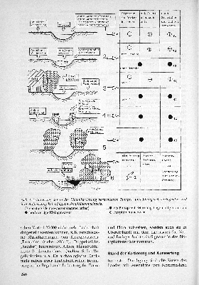 Vorschaubild Seite 246