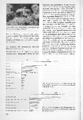 Vorschaubild Seite 374