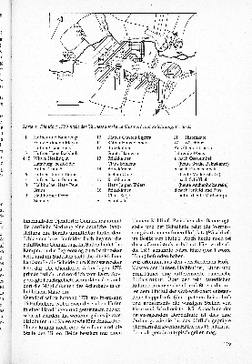 Vorschaubild Seite 119