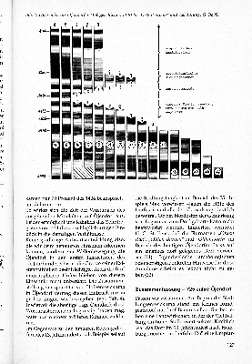 Vorschaubild Seite 127