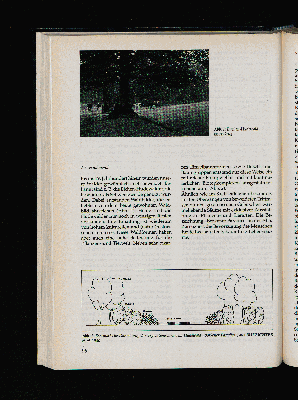 Vorschaubild Seite [96]