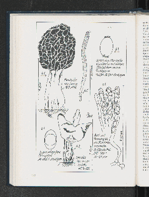 Vorschaubild Seite 130